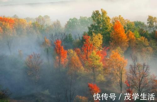 李煜&李煜水平很高的一首词,全文无一“怨”字,却句句有怨意