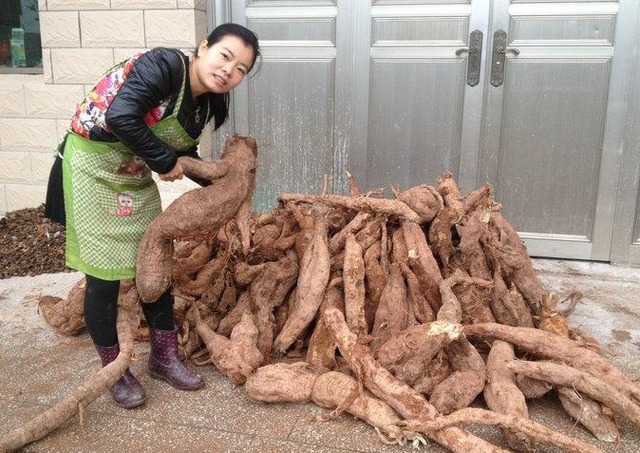 铁皮石斛|45岁后的女人别太节俭，5种零食日常吃点，或能补充雌激素