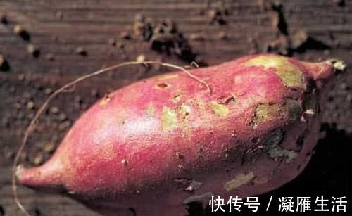 血液|这些食物,专克高血脂,每天吃一点,净化血液,血栓不来扰