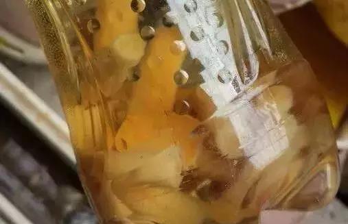 冬天用上这六种武器,盆栽虫子统统消失