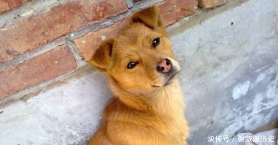 话语|农村俗语说:宅子有三喜,家中出才人,是什么意思,有何讲究呢