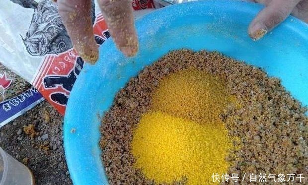 药酒|都说酒米钓鱼好用,但学会搭配以后,这3种选择会上鱼更多