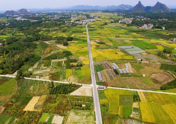 农作物|六月立秋两头不收，七月立秋早晚都收，2021年啥时候立秋