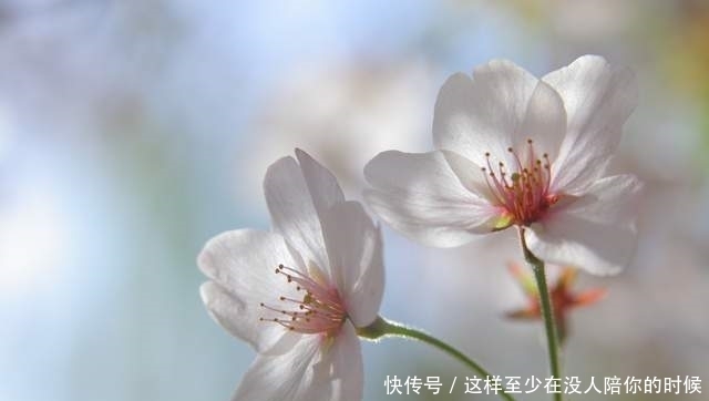 愚蠢|做人,最大的愚蠢是太较真