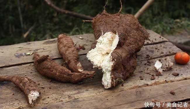 十個人九個腰疼,此物煮湯喝,腰不疼了,腿不酸了,早知早健康