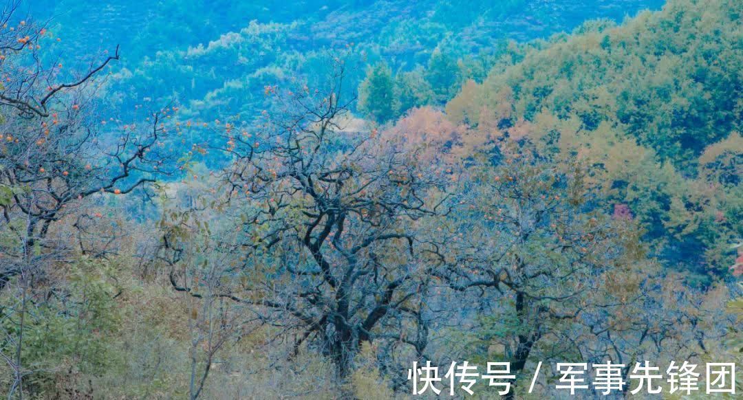 陆游|送走心爱的侍女后,他写了首宋词,中间两句让人想哭,成网络金句