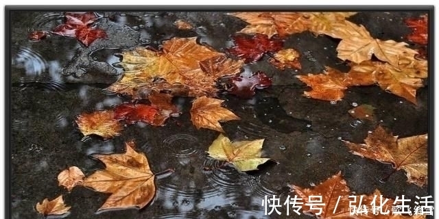 相思迢递隔重城@李商隐22岁和39岁各写了一首秋夜听雨唐诗,表达的情感却不一样