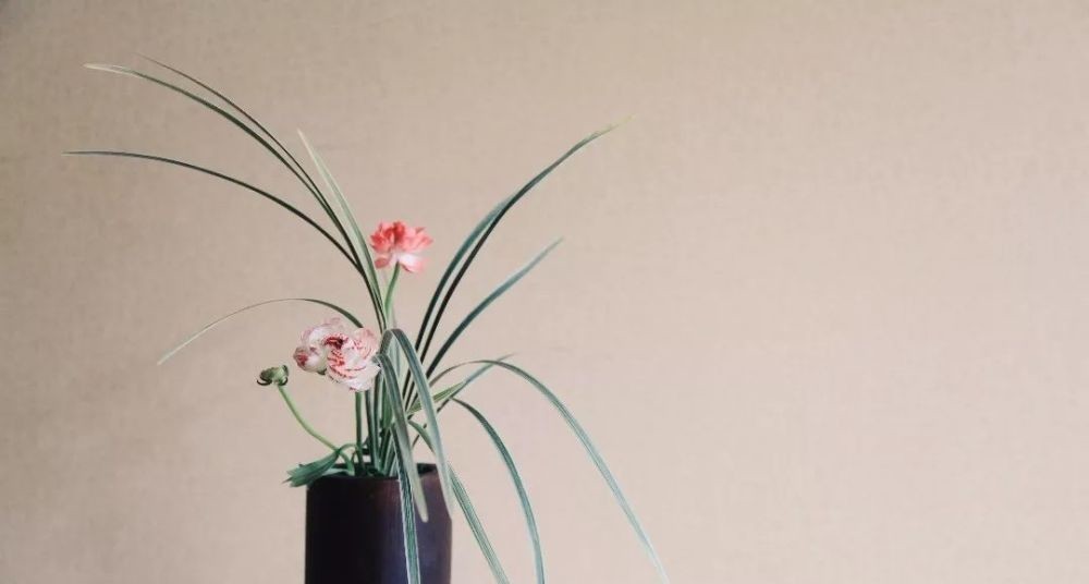 茶香|生活有了茶香,便不再羡慕诗和远方