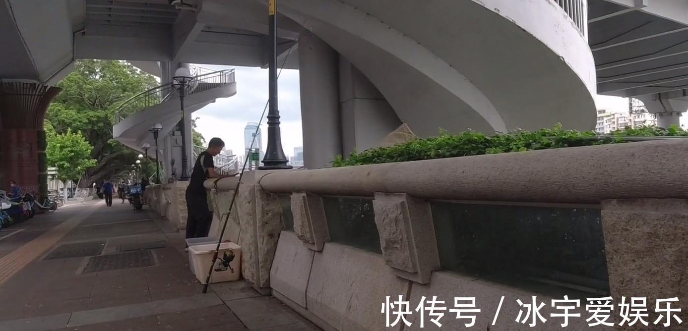 职业|珠江边的职业钓鱼人,一天可赚六百,其他钓鱼人这样钓鱼不纯粹