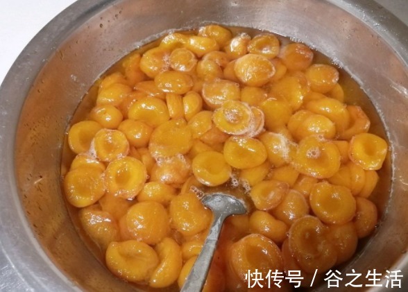 杏子|天热这碱性水果要多吃，一次性买5斤，晒干囤着，随时吃随时取！