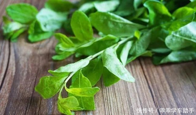 春季“头道鲜”,地道上海宁必吃!春季“头道鲜”,地道上海宁必吃!