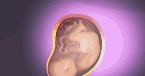 营养物质|宝宝出生后,产妇身体会发生什么变化看完忍不住心疼!