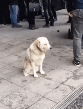 |搞笑GIF:嫂子你听我解释 事情不是你想象的那样