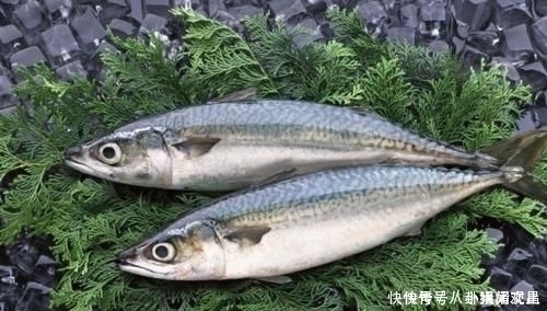 种鱼|去菜市场买鱼时“最好不要买”这4种鱼,既不干净还不卫生