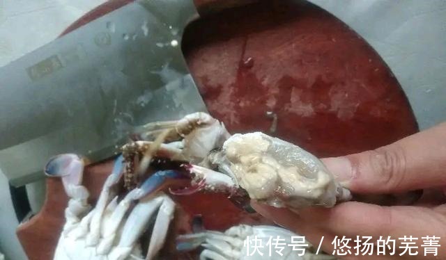鲜甜|立秋后,梭子蟹跟这菜是绝配,简单一炖特别鲜,大人孩子都爱吃!