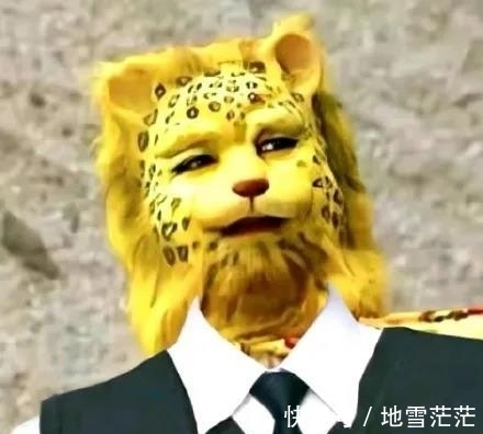 最近的朋友圈,跑进来一只豹子