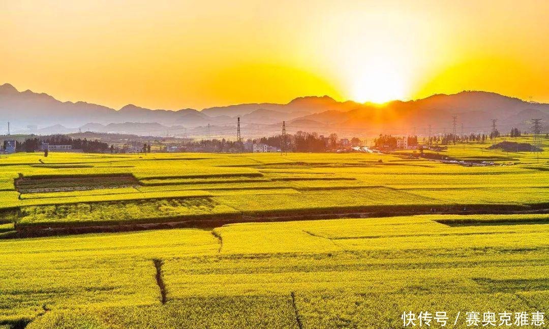 罗平油菜花盛开，小村寨在花海中隐匿点缀其间，已然入画