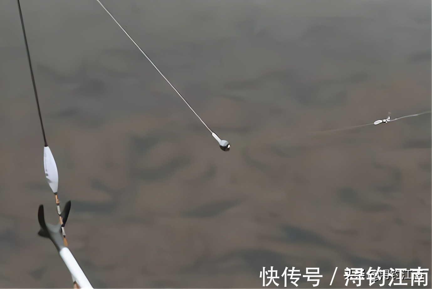 跑铅|户外作钓，遇走水闹小鱼咋办？试试这跑铅钓法，知道的人可不简单