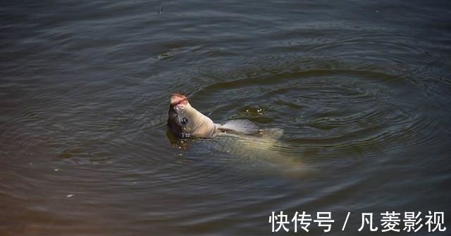 闽侯县|福州有哪些钓鱼的好去处?