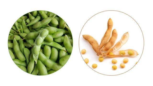 夏季|钙含量比牛奶还高!夏季营养流失快,吃了补钙补钾,5块钱一大锅