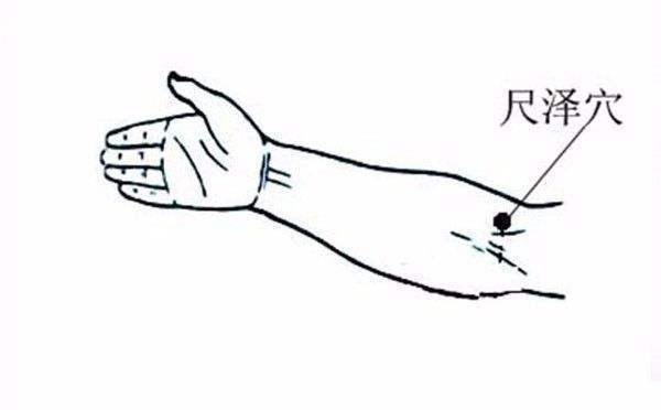 肥胖|不论男女,身上有2减肥“开关”,睡前拍一拍,体重“悄悄降”