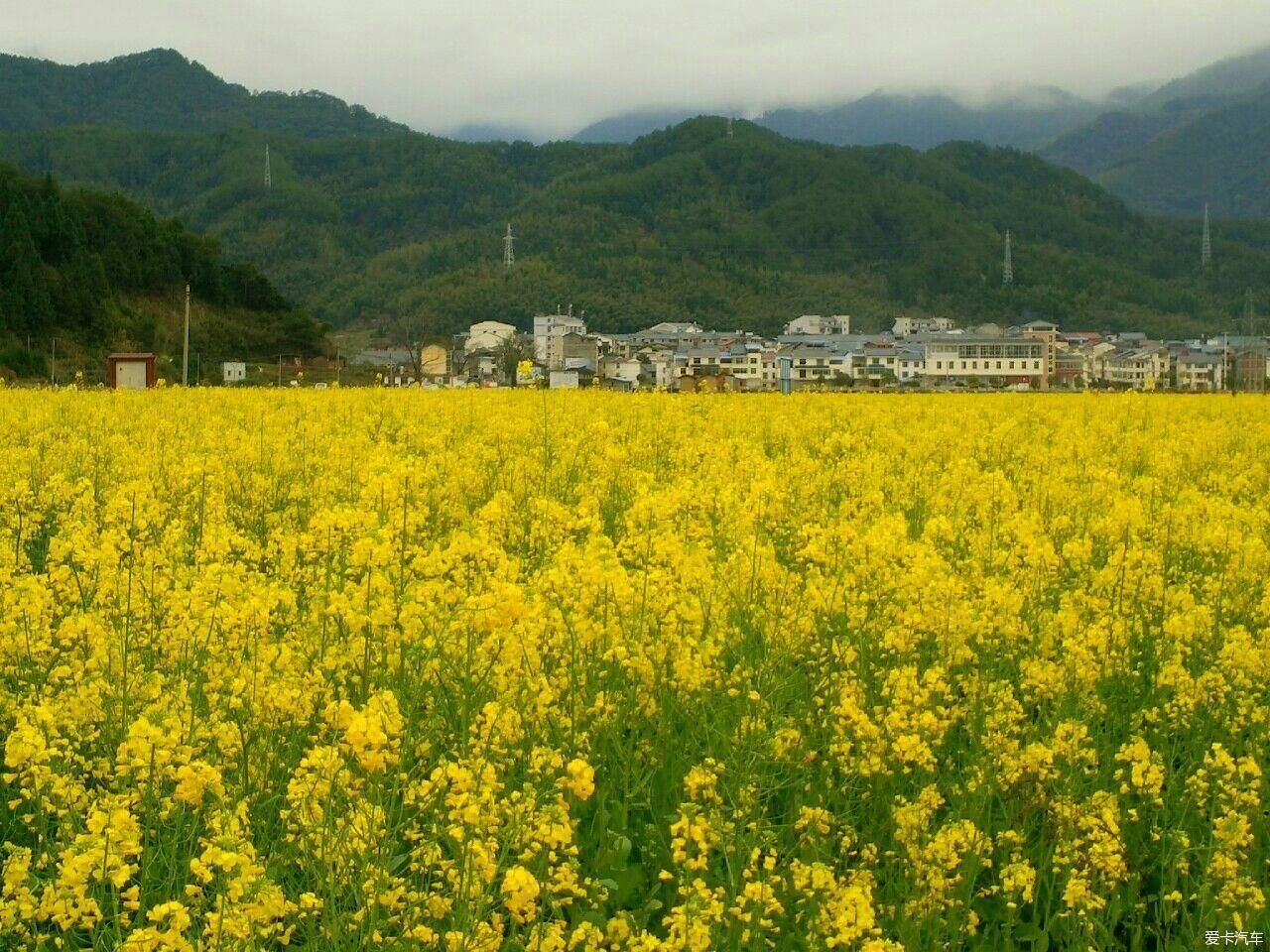 浙江|爱在山花烂漫时