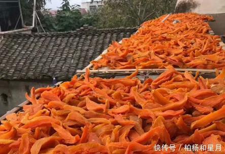 晒成|这4种蔬菜晒成干,比新鲜的还好吃,久放不坏,冬天炖肉特别香!