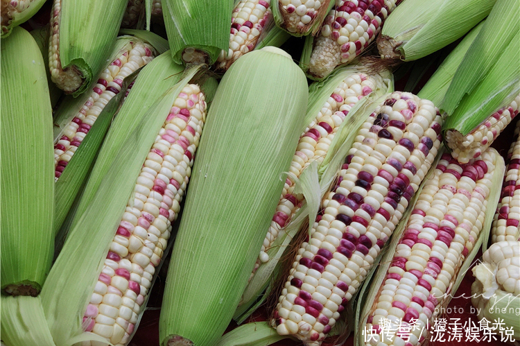 玉米|保存玉米，到底先煮后冻还是先冻后煮做对了，味道和鲜玉米一样