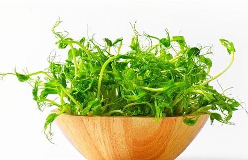 不仅土豆发芽不能吃，有几种蔬菜如果发芽了，同样也不可以吃！