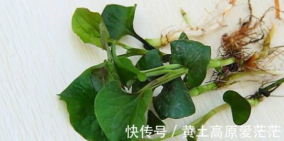 痔疮|天然的“通便剂”，经常吃一点，排出黑臭宿便，远离便秘和痔疮