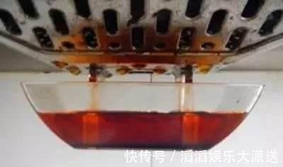 黄豆|养虎皮兰时,盆里加2种东西,30天钻出钢芽,侧芽嗖嗖