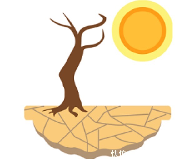  肺不好，手上会出现3种异常，若没有，说明肺部还算健康