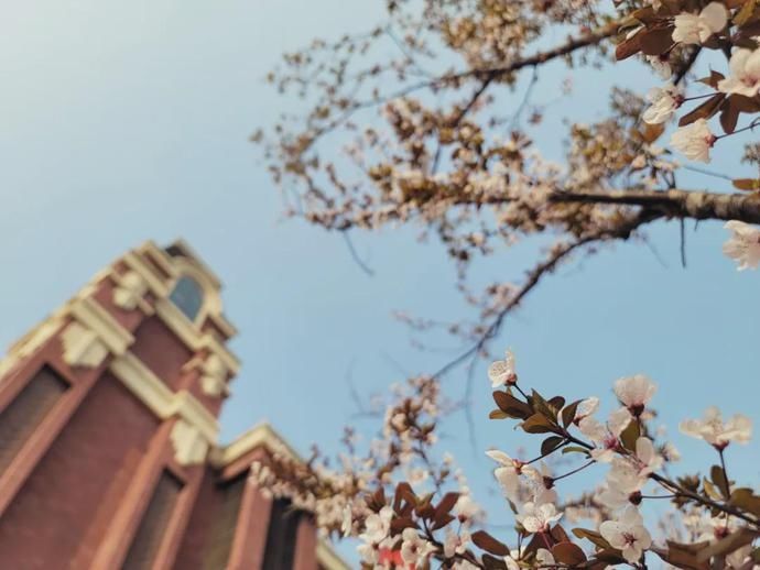 重磅！城南再添一所九年一贯制学校