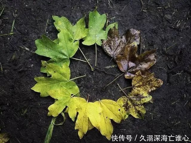 70-79岁是“长寿关键期”,想要更健康,谨记3防,4勤