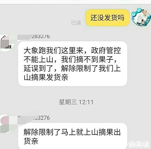 大象|云南象群搞出很多糗事，象群会影响到高考吗?黄狗已经被吓得绝食