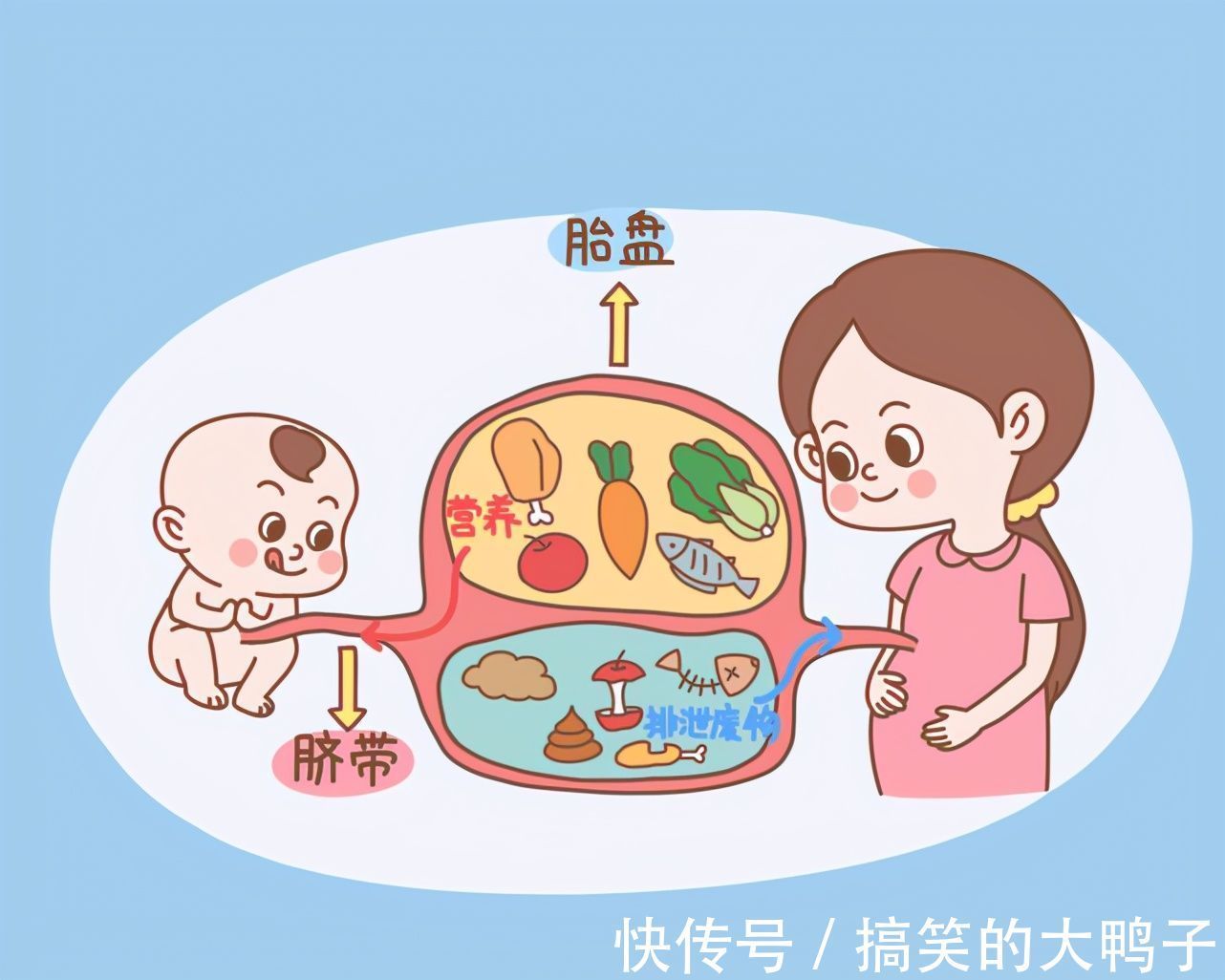 腰酸背痛|胎儿进入“猛长期”,身体会出现五种“不适”,孕妈需及时进补