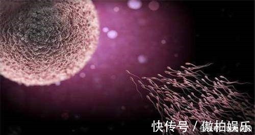 b超检查|受精卵着床的五大感觉!好孕也能提前知晓,备孕妈妈要注意了!