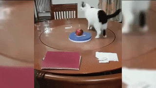 |内涵段子：她们的男人，全都进城打工去啦！