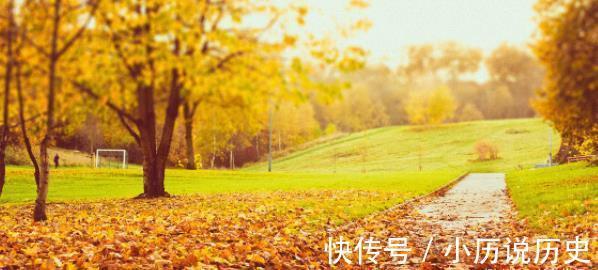 气血双补|千古补血第一良方！简单4味药，气血双补，美容养颜，做冻龄女神