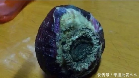 根全烂了别扔,这样做,分分钟把花救活!