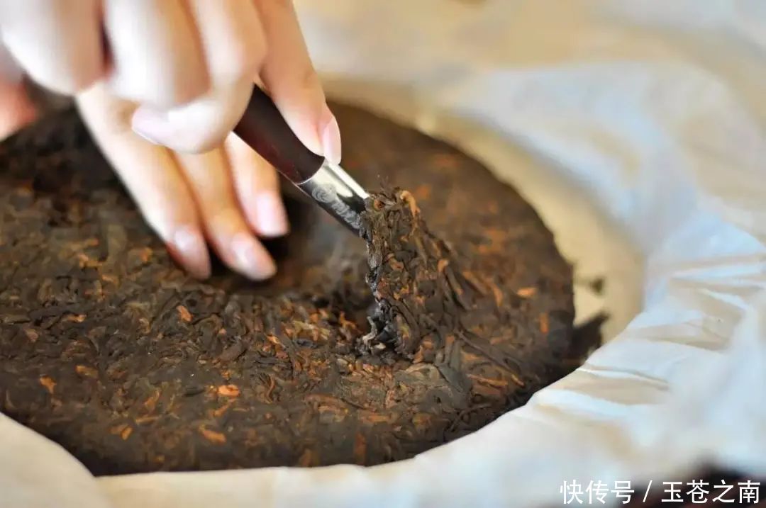 喝茶萌新必看小知识（四）