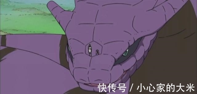 万蛇|火影忍者:青蛇和万蛇,两者有什么关系?