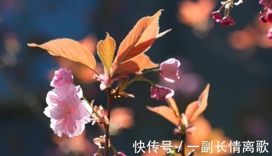 双子|2周后,旧情纠缠,痴心难忘,误会解除,破冰和好,余生如胶似漆