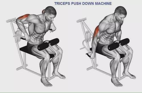 弯杆|最全的肱二三头肌训练图解,漂亮手臂必备!