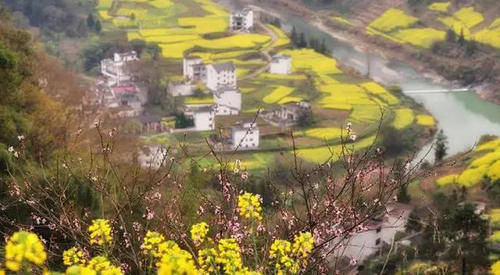 中国十大最美油菜花海