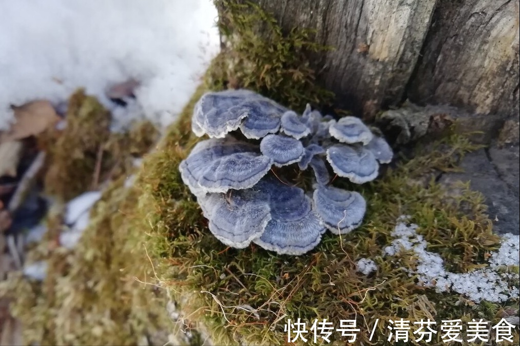 鸡蛋|肝不好的人,早上3种早餐要“拒绝”,鸡蛋上榜,吃对了更养肝