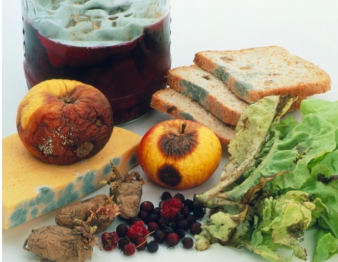 非转基因大豆|黄曲霉毒素很狡猾，如果你家里厨房有这5种情况，抓紧收拾