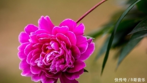 富翁命|人出生在农历4个月份,注定是“富翁命”,后半生将富的流油!