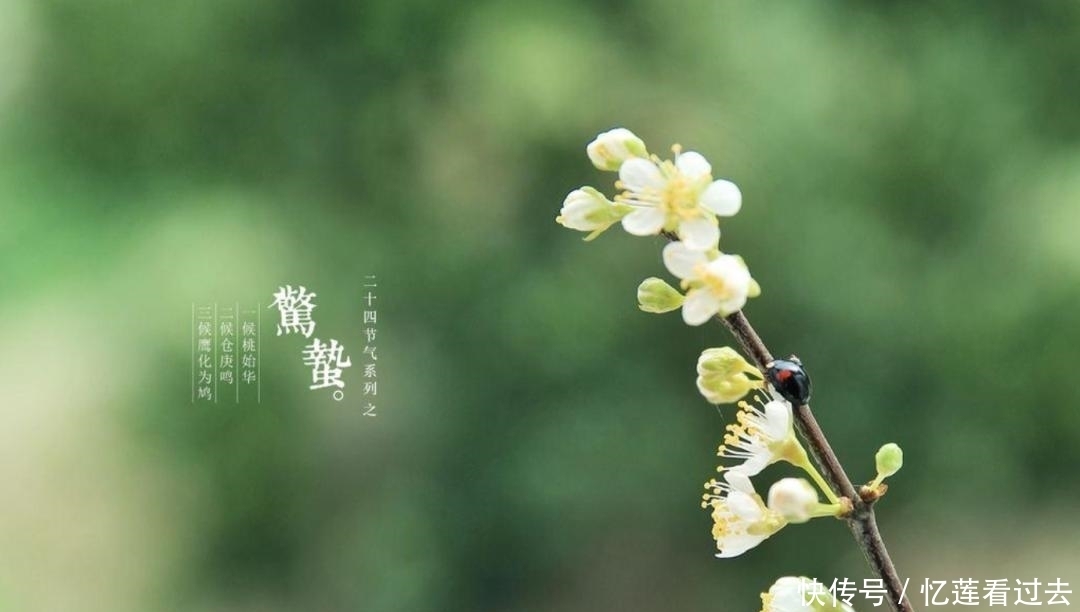 古人是如何过惊蛰的?清末民初湖北惊蛰打虾蟆习俗