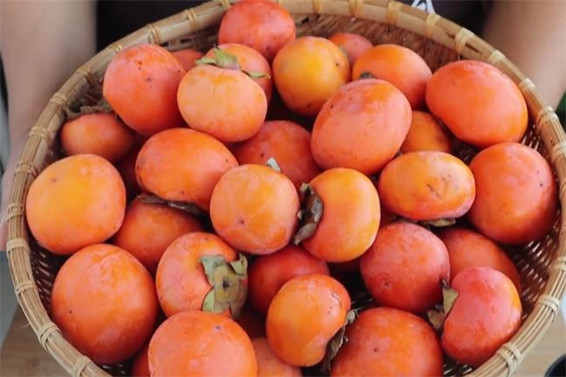 苦涩味|暖柿子,教你两个小技巧,柿子香甜脆爽又好吃,方法超简单